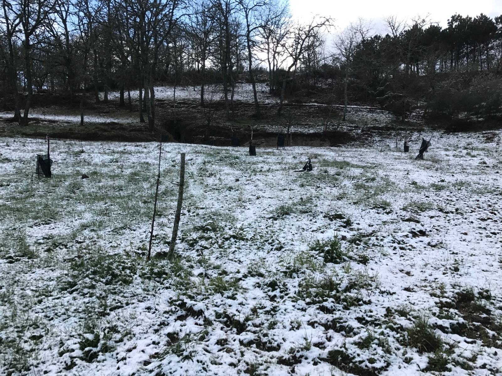 Souto coberto de neve no inverno